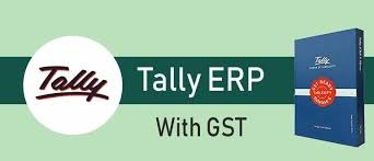 Professional Tally + GST